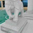 南宁 白麻花岗岩动物异形石雕-大象