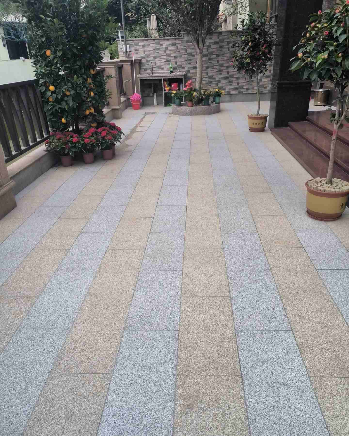 南宁 黄金麻白麻荔枝面庭院铺装展示